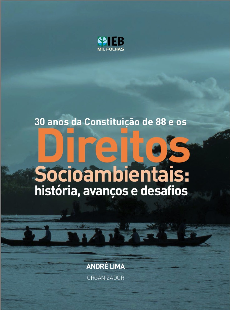 30-anos-da-constituicao